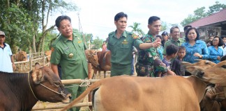 Populasinya Hampir 1300 Ekor