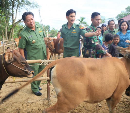 Populasinya Hampir 1300 Ekor