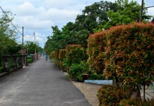 Gang Madyosari II, Pantas Jadi Teladan