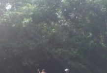 Akses Kecamatan Menukung Perlu Diprioritaskan