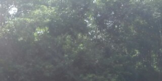 Akses Kecamatan Menukung Perlu Diprioritaskan