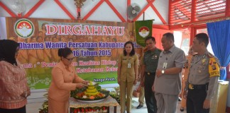 DWP Ambil Peran Strategis Pembangunan