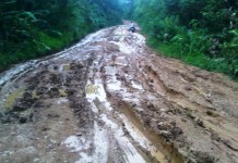 Perusahaan Diminta Peduli Kerusakan Jalan