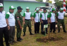 400 Orang Hadiri Kegiatan Penanaman Pohon