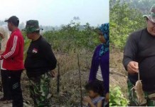 Petani Resah, TNI Gempur Tikus Sawah