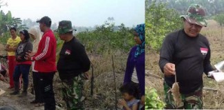Petani Resah, TNI Gempur Tikus Sawah
