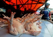Ibu Rumah Tangga Keluhkan Harga Ayam
