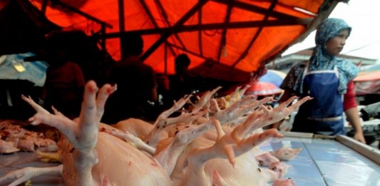 Ibu Rumah Tangga Keluhkan Harga Ayam