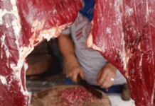 Jelang Natal, Stok Daging Babi Aman