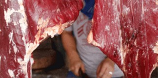 Jelang Natal, Stok Daging Babi Aman