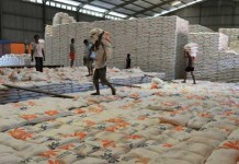 “Jangan Sampai Kita Impor Beras”