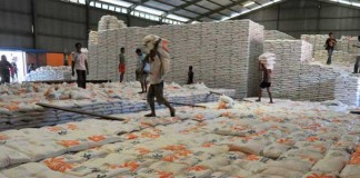 “Jangan Sampai Kita Impor Beras”