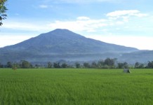Tanpa Sosialisasi, TNGP Meluas 108 Ribu Hektar