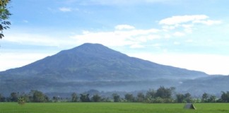 Tanpa Sosialisasi, TNGP Meluas 108 Ribu Hektar