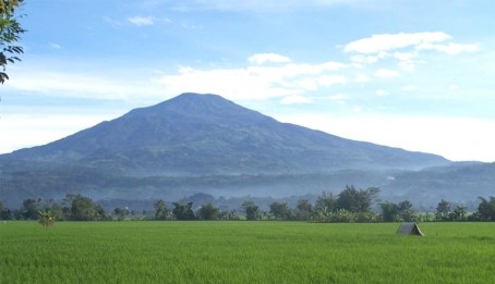 Tanpa Sosialisasi, TNGP Meluas 108 Ribu Hektar