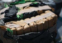 Sopir dan Kernet Bus DAMRI Jadi Penyelundup