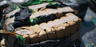 Sopir dan Kernet Bus DAMRI Jadi Penyelundup