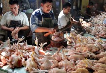 Selama Ramadhan Stok Barang Aman