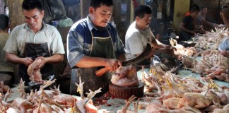 Jelang Lebaran, Stock Daging Ayam Cukup