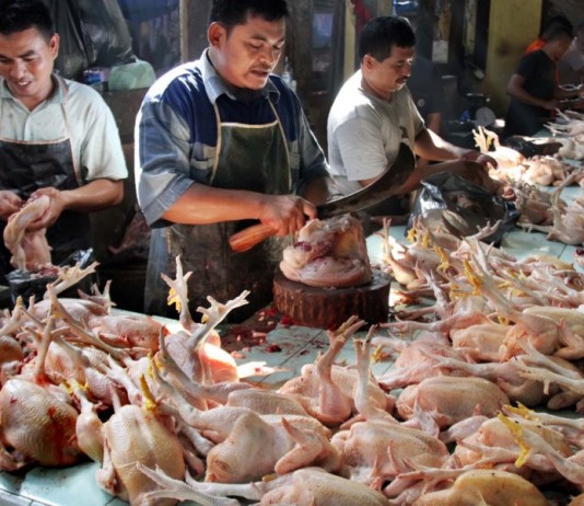 Jelang Lebaran, Stock Daging Ayam Cukup