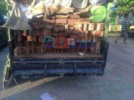 Illegal Logging Ketapang Masih Marak