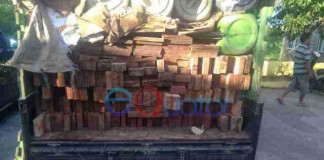 Illegal Logging Ketapang Masih Marak