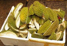 Jangan Biarkan Kulit Durian Berserakan