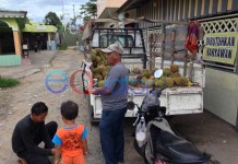 Durian Kapuas Hulu Menggugah Selera