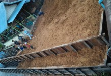 Lama Vakum, Pasar Ikan Siduk Ditata Kembali