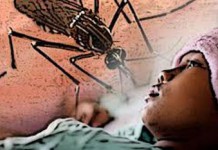 Penderita DBD Didominasi Anak-anak
