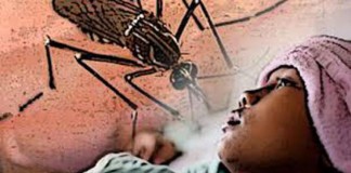 Sebanyak 344 Kasus DBD di Kubu Raya