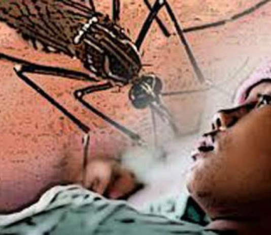 Penderita DBD Didominasi Anak-anak