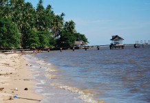 Pesisir Mempawah Terancam Abrasi