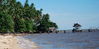 Pesisir Mempawah Terancam Abrasi