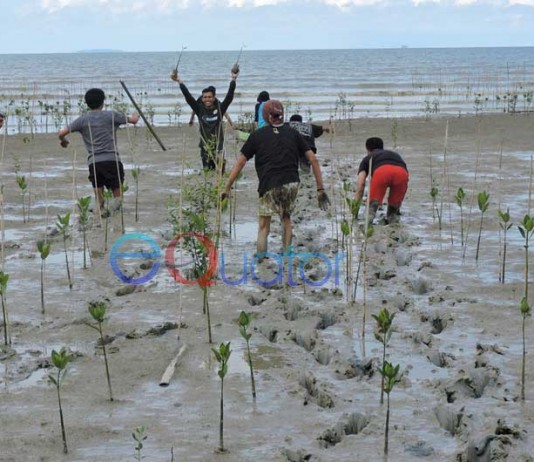 Daratan Mempawah Terkikis Abrasi