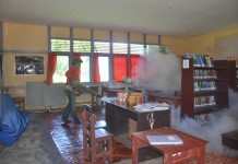 Cegah DBD, Petugas Sanitasi Serang Sarang Nyamuk