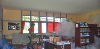 Cegah DBD, Petugas Sanitasi Serang Sarang Nyamuk