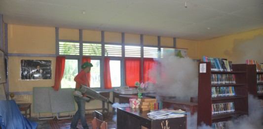 Cegah DBD, Petugas Sanitasi Serang Sarang Nyamuk