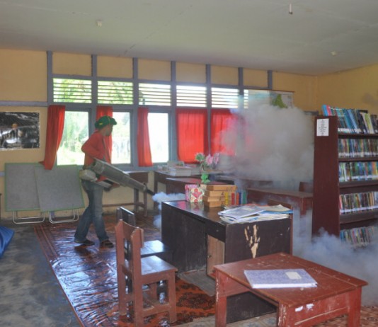 Cegah DBD, Petugas Sanitasi Serang Sarang Nyamuk