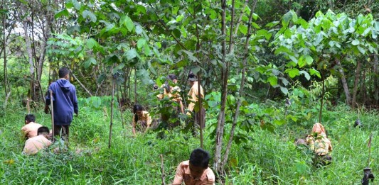 Tanam Pohon di Area Reboisasi Koridor Orangutan Sedahan Jaya
