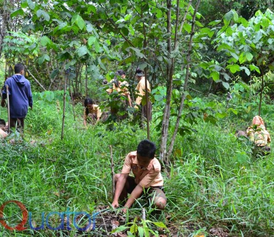 Tanam Pohon di Area Reboisasi Koridor Orangutan Sedahan Jaya