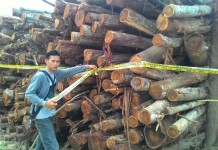 Masih Ada Illegal Logging di Ketapang