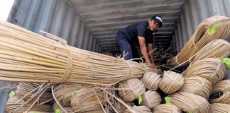 Indonesia Tetap Pemasok Utama Rotan Dunia