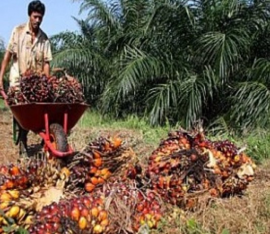 Sawit dan Emas Berpotensi Melejit