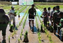 Jangan Malu Ngaku Petani