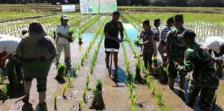 Jangan Malu Ngaku Petani