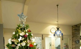 Merawat Pohon Natal Asli