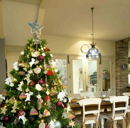 Merawat Pohon Natal Asli