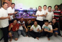 ‘Mereplika’ Ekosistem Bawah Laut via Akuarium