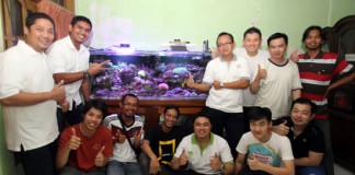‘Mereplika’ Ekosistem Bawah Laut via Akuarium